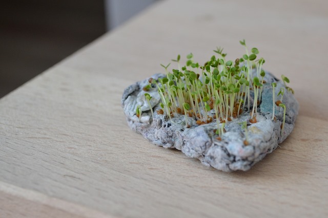 69856969-1730168637127709-5312341526825664512-n