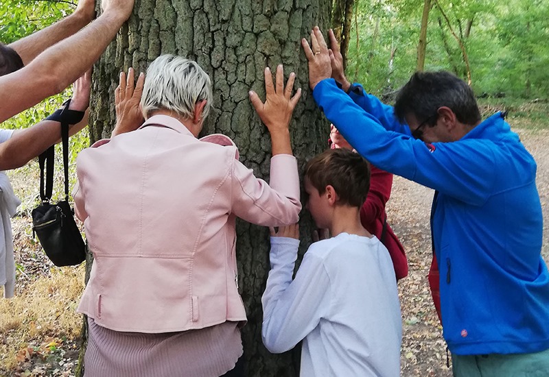 70950938-1730352347109338-7271277776978575360-n