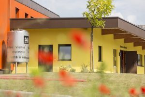 exterieur-fleurs-brasserie-uberach-lei-300x200