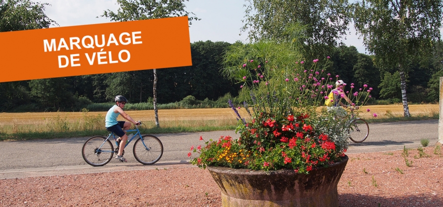 20200828-vdm-marquage-velo