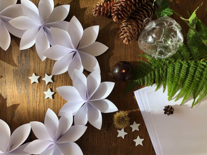 248586634_2502905973187301_947252199975274174_n