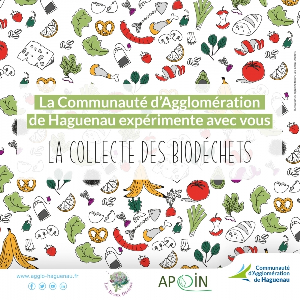 302520528-5823201377730087-5610873643227960343-n