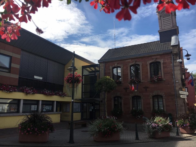 58576564-2429225047127754-6050297228461867008-n