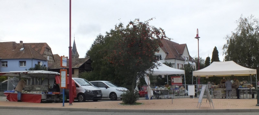 petit-marche-deviendra-t-il-grand-c-est-en-tout-cas-ce-qui-est-espere-avec-la-refection-de-la-place-de-la-republique-ou-certains-nouveaux-commercant-ont-deja-annonce-leur-venue-le-marche-se-tient-donc-provisoireme